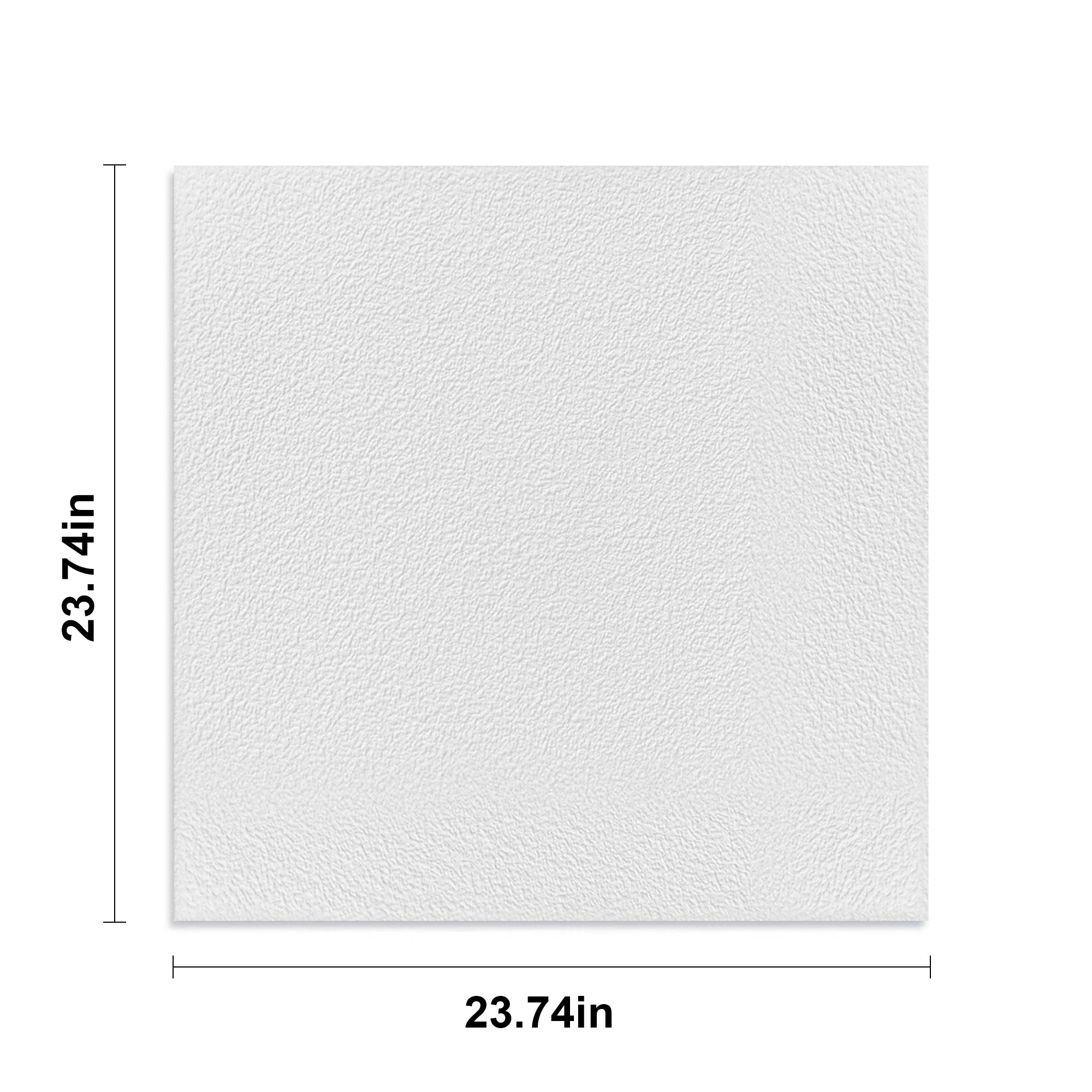 2 ft. x 2 ft. PVC Lay-in Ceiling Tile (48 sq.ft./case)